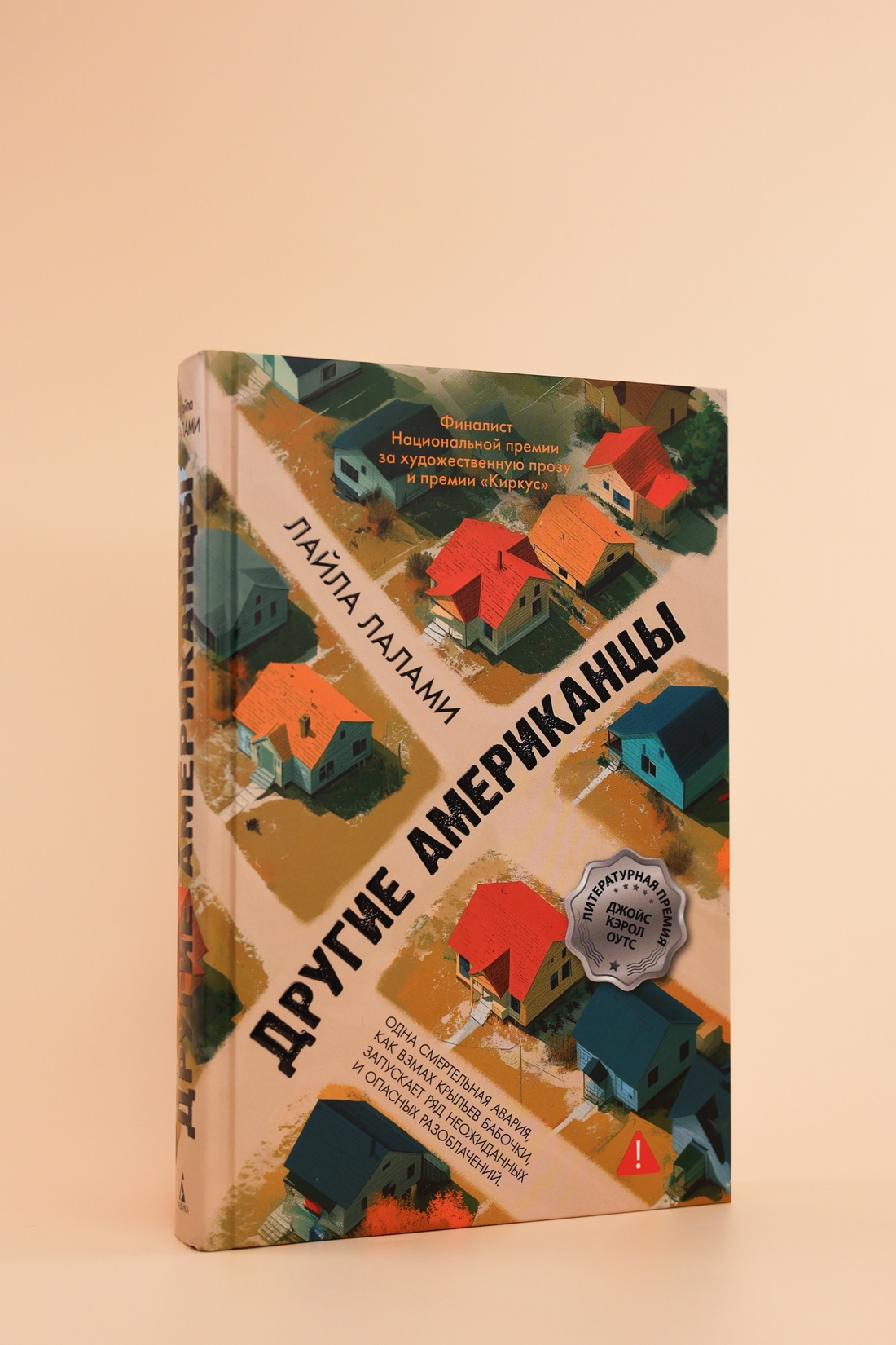 Промо материал к книге "Другие американцы" №5