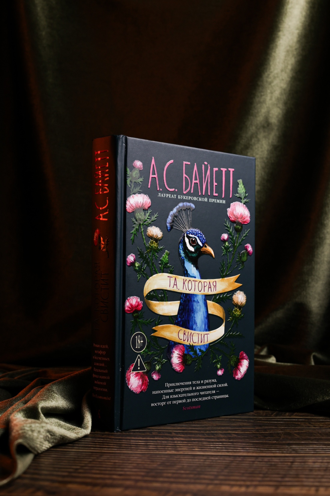 Промо материал к книге "Та, которая свистит" №7