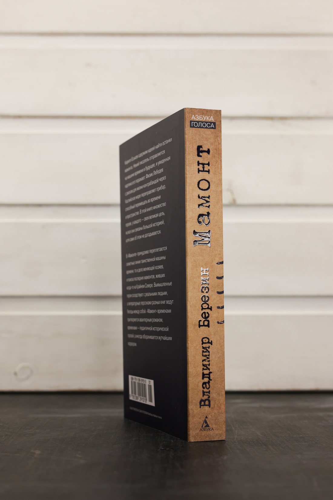 Промо материал к книге "Мамонт" №6