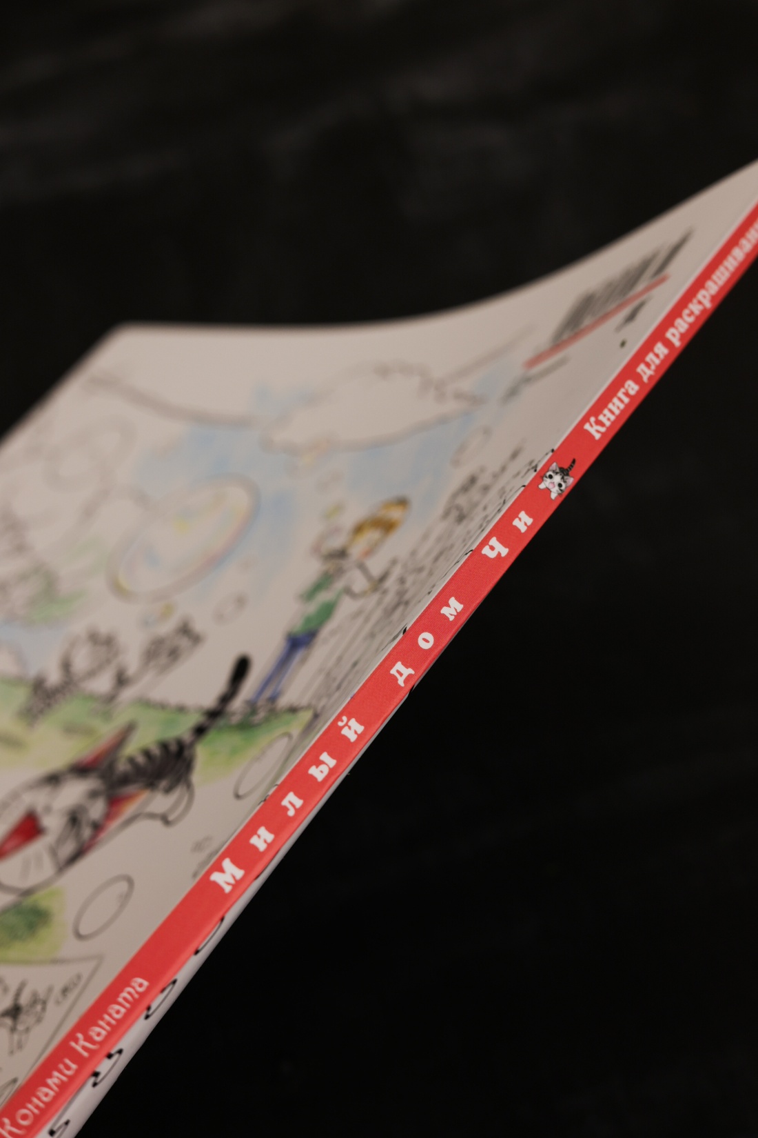 Промо материал к книге "Милый дом Чи. Книга для раскрашивания" №5