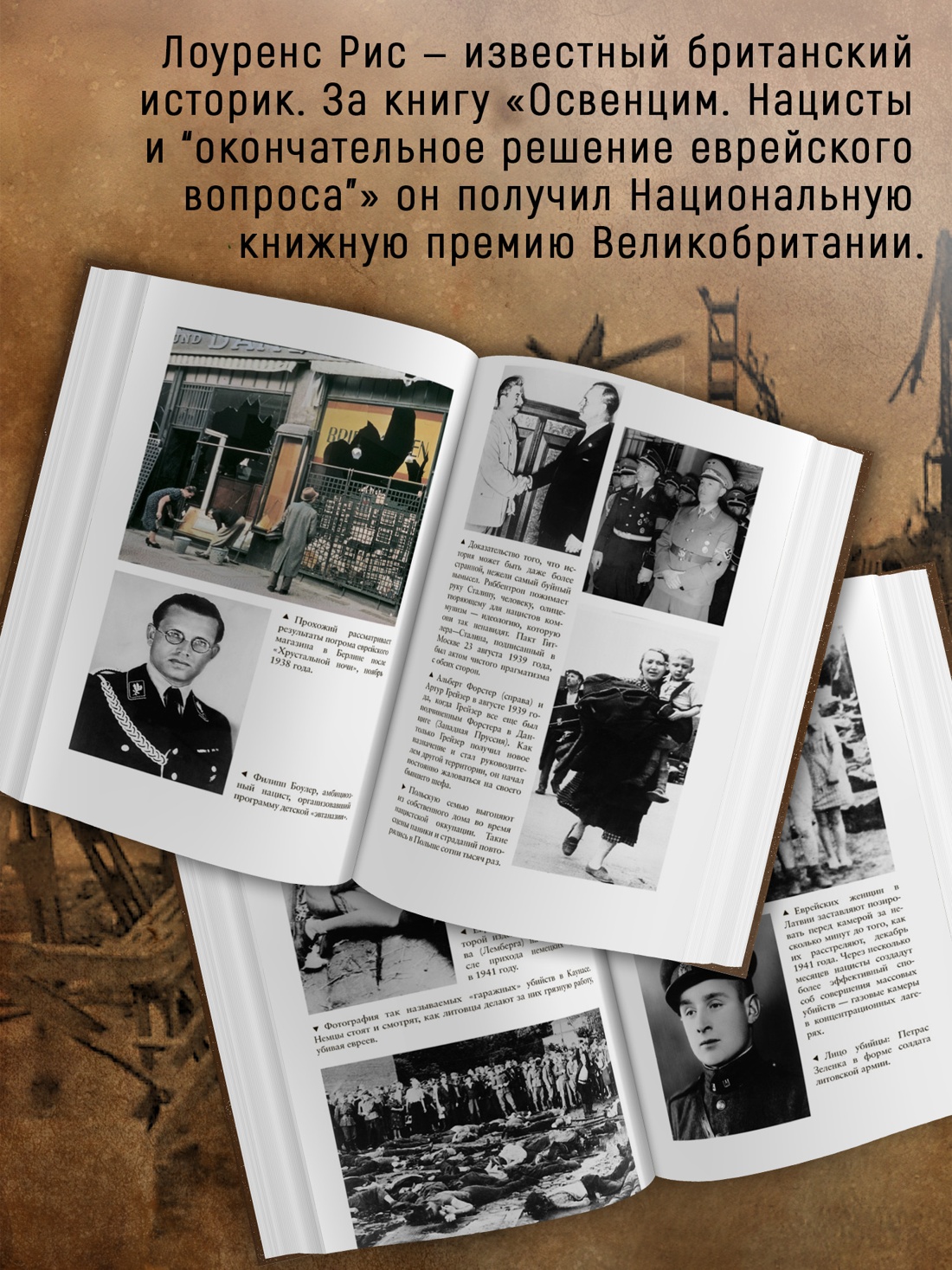 Промо материал к книге "Нацисты. Предостережение истории (История войн и военного искусства)" №2