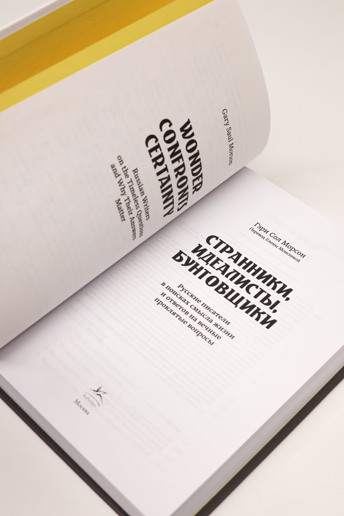 Промо материал к книге "Странники, идеалисты, бунтовщики: Русские писатели в поисках смысла жизни и ответов на вечные проклятые вопросы" №9