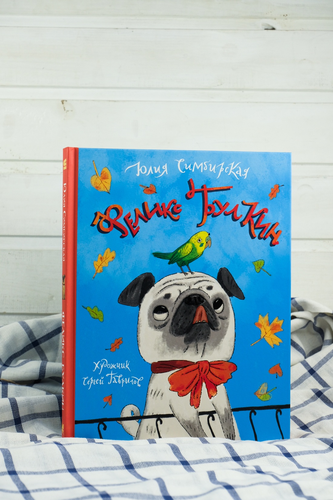 Промо материал к книге "Феликс Булкин" №4