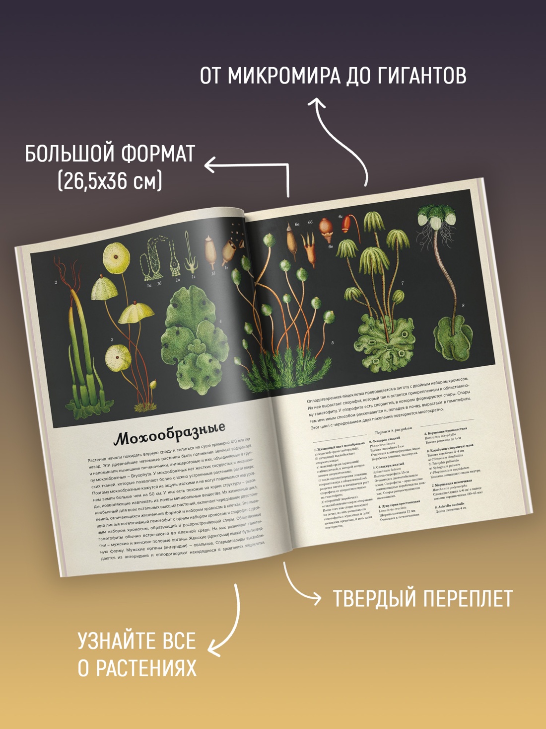 Промо материал к книге "Ботаникум" №1