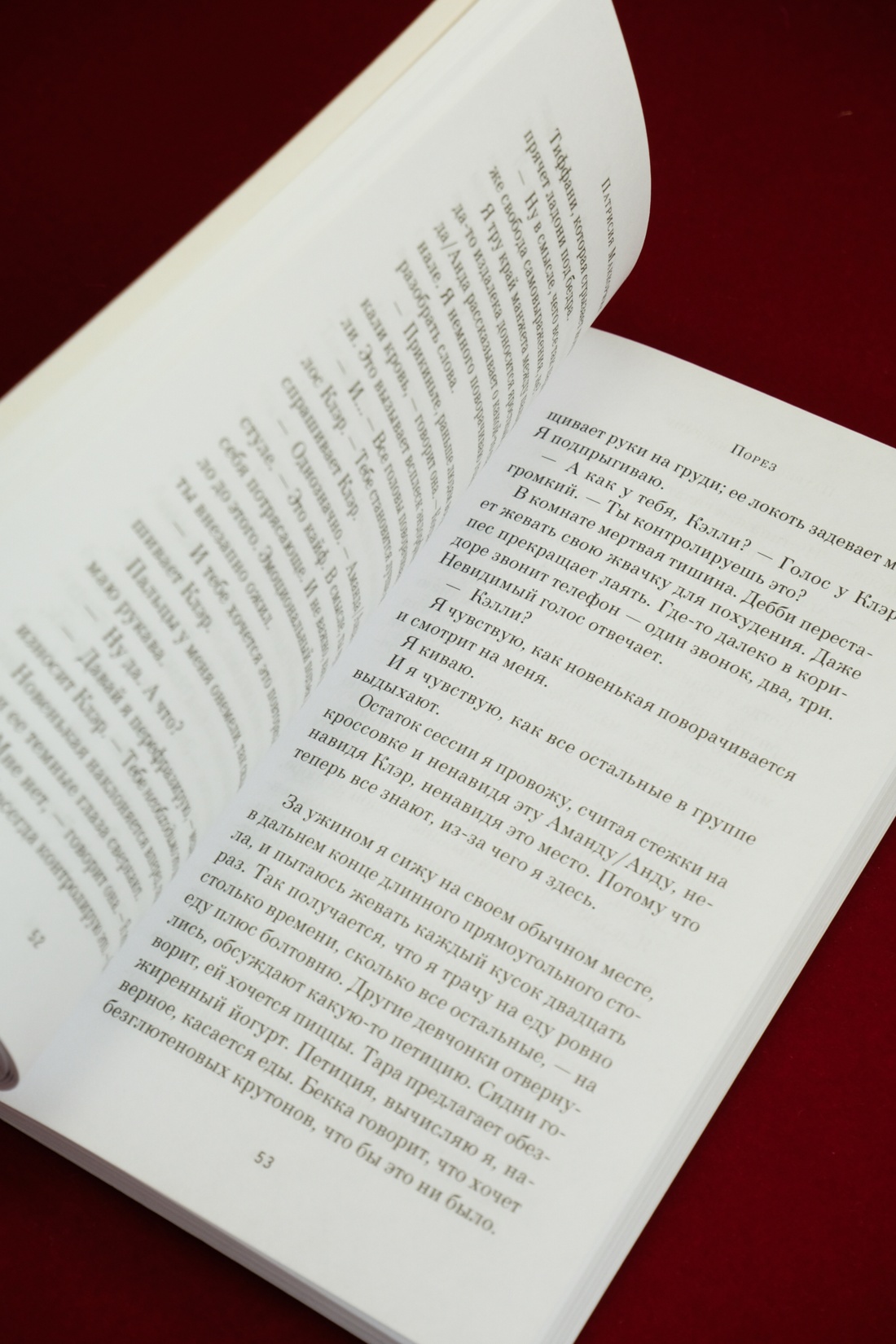 Промо материал к книге "Порез (в суперобложке)" №12