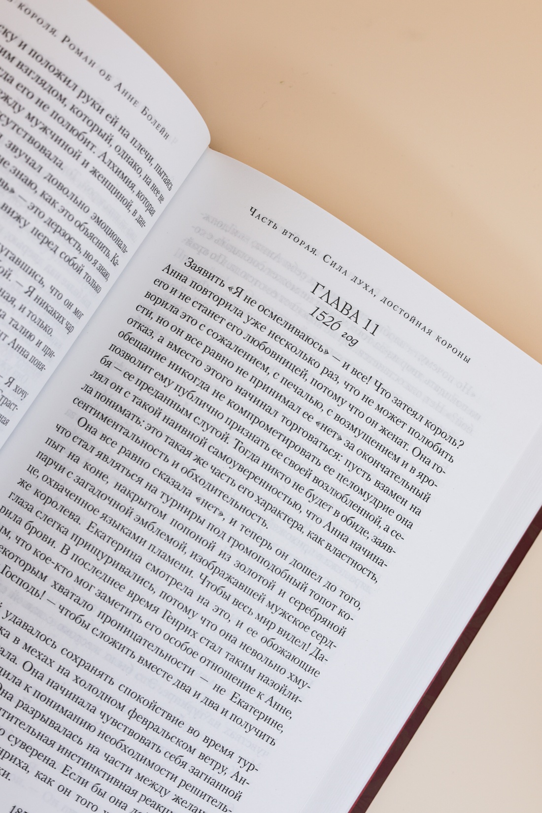 Промо материал к книге "Страсть короля. Роман об Анне Болейн" №7