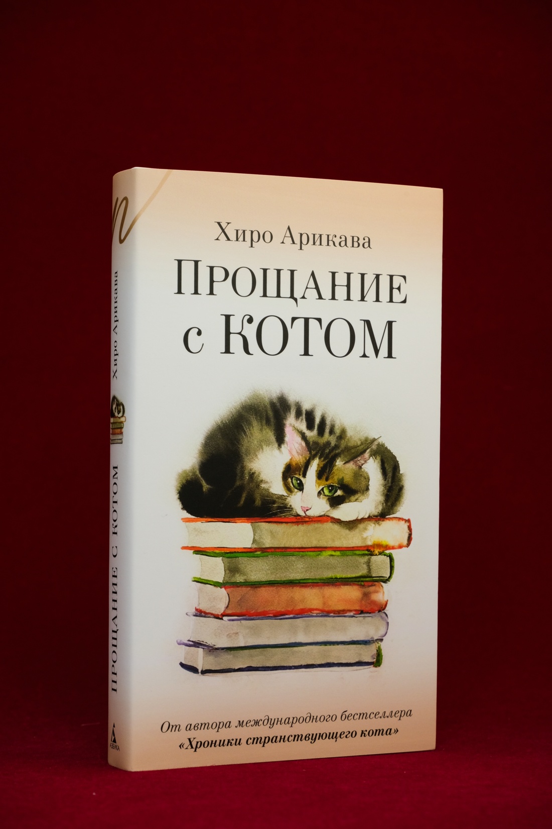 Промо материал к книге "Прощание с котом" №6