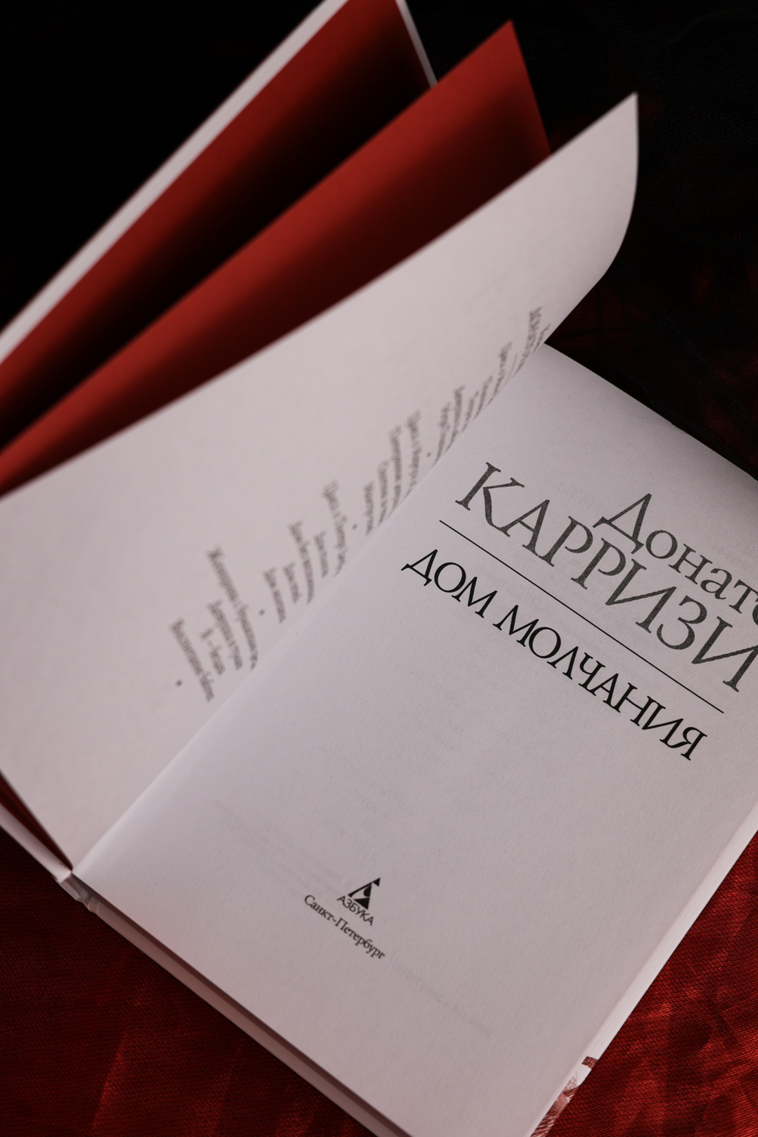 Промо материал к книге "Дом молчания" №9