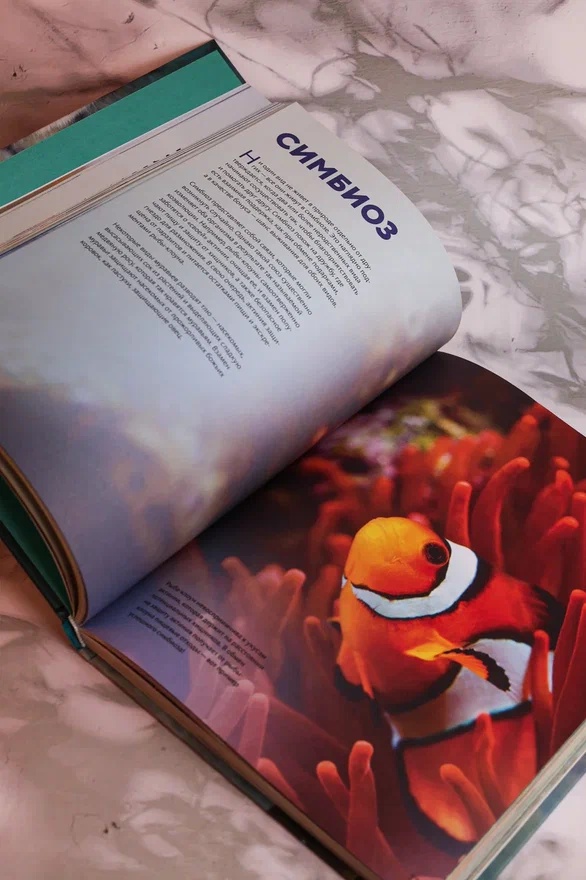 Промо материал к книге "Огромная энциклопедия животных мира" №8