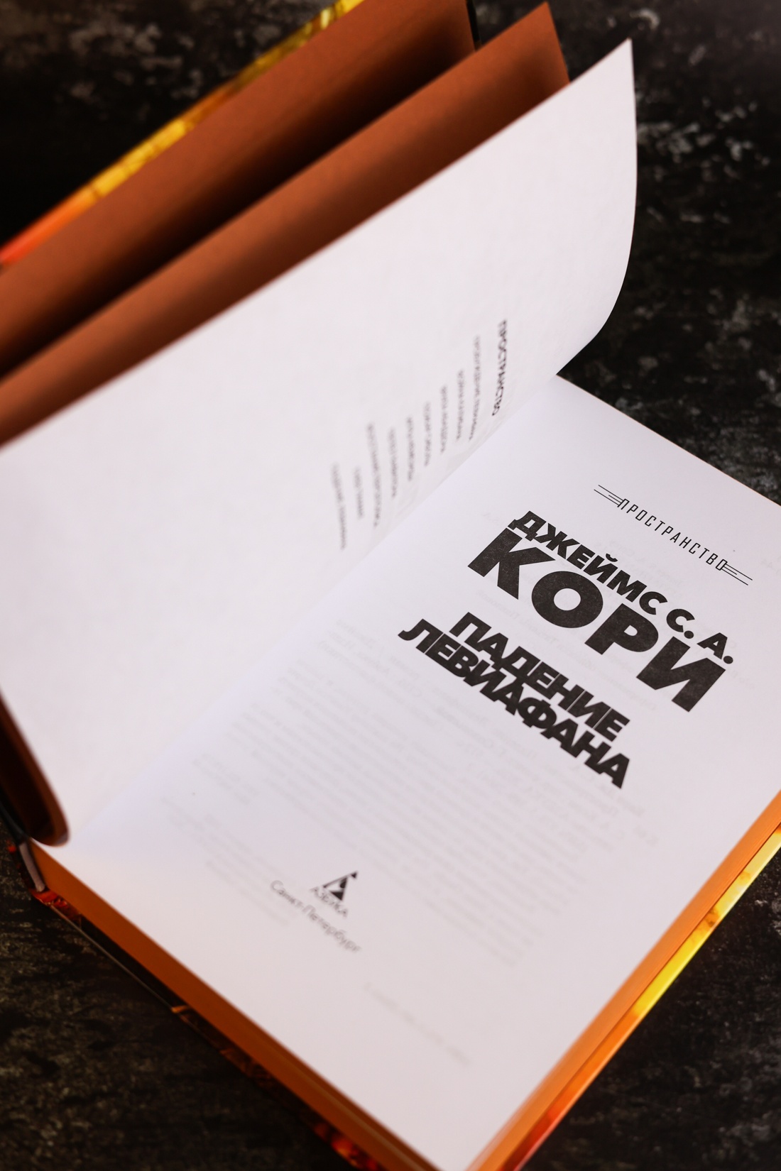 Промо материал к книге "Пространство. Книга 9. Падение Левиафана" №8