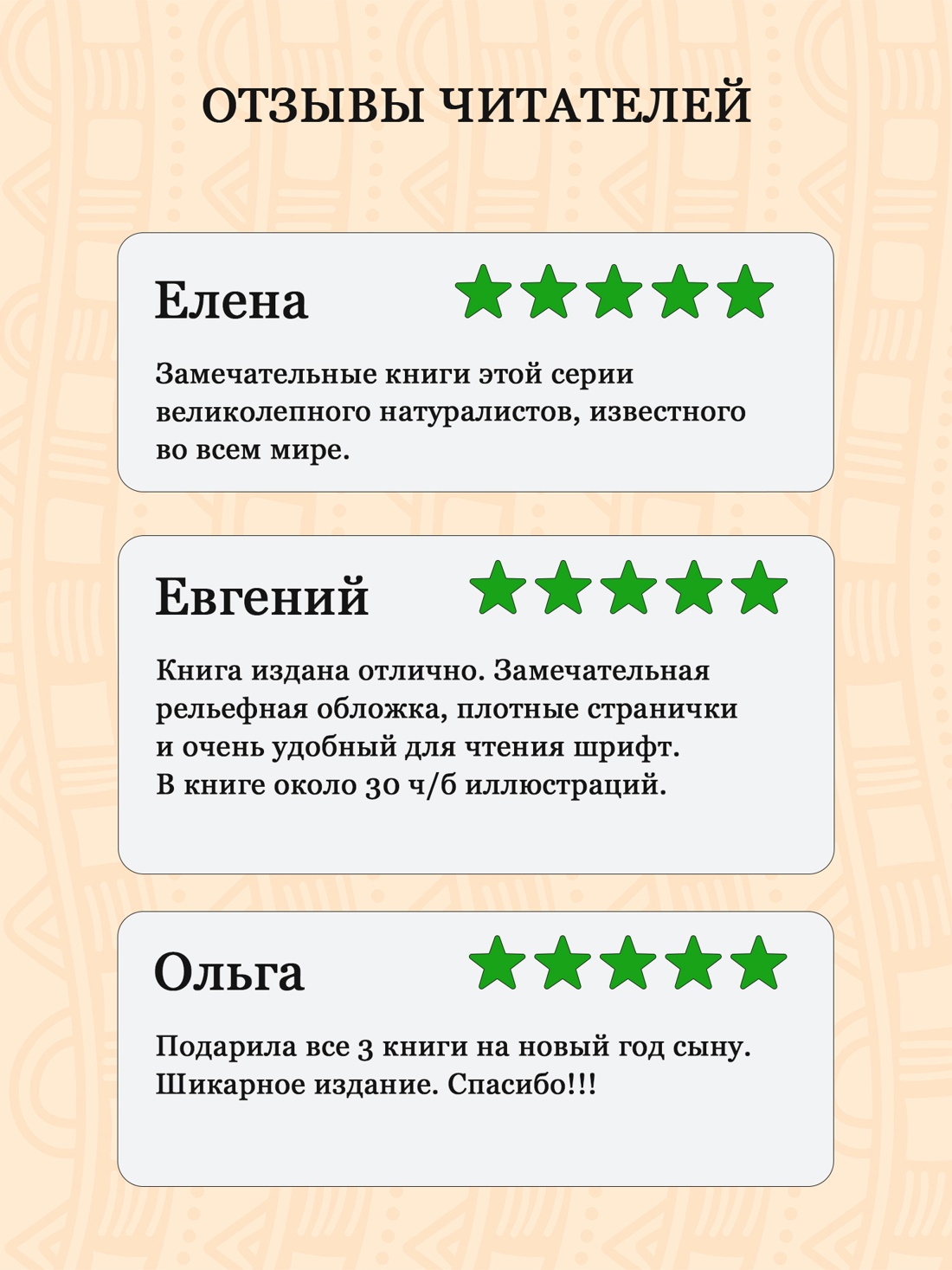 Промо материал к книге "Три билета до Эдвенчер. Под пологом пьяного леса" №2