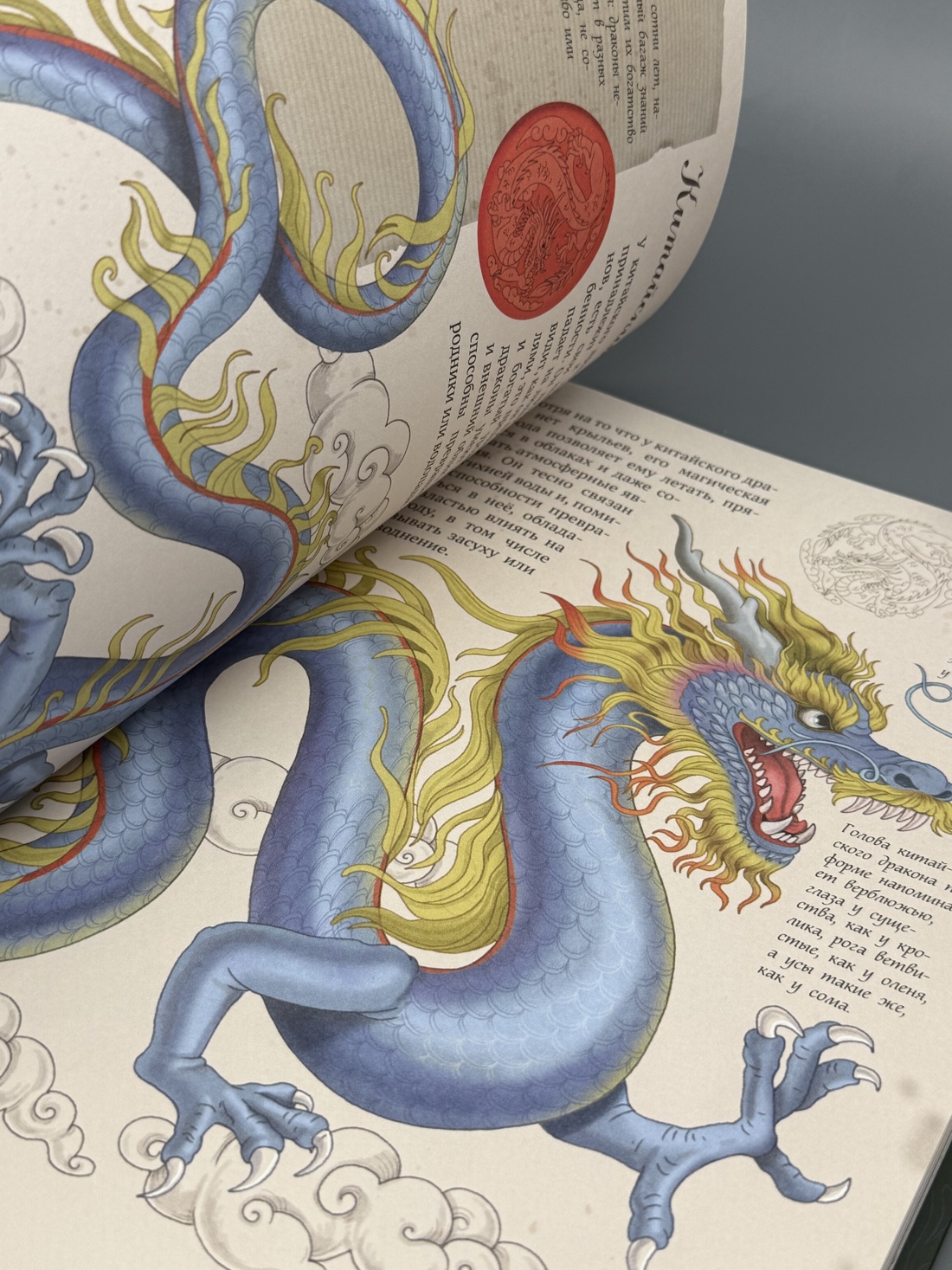 Промо материал к книге "Волшебные существа. Энциклопедия" №12