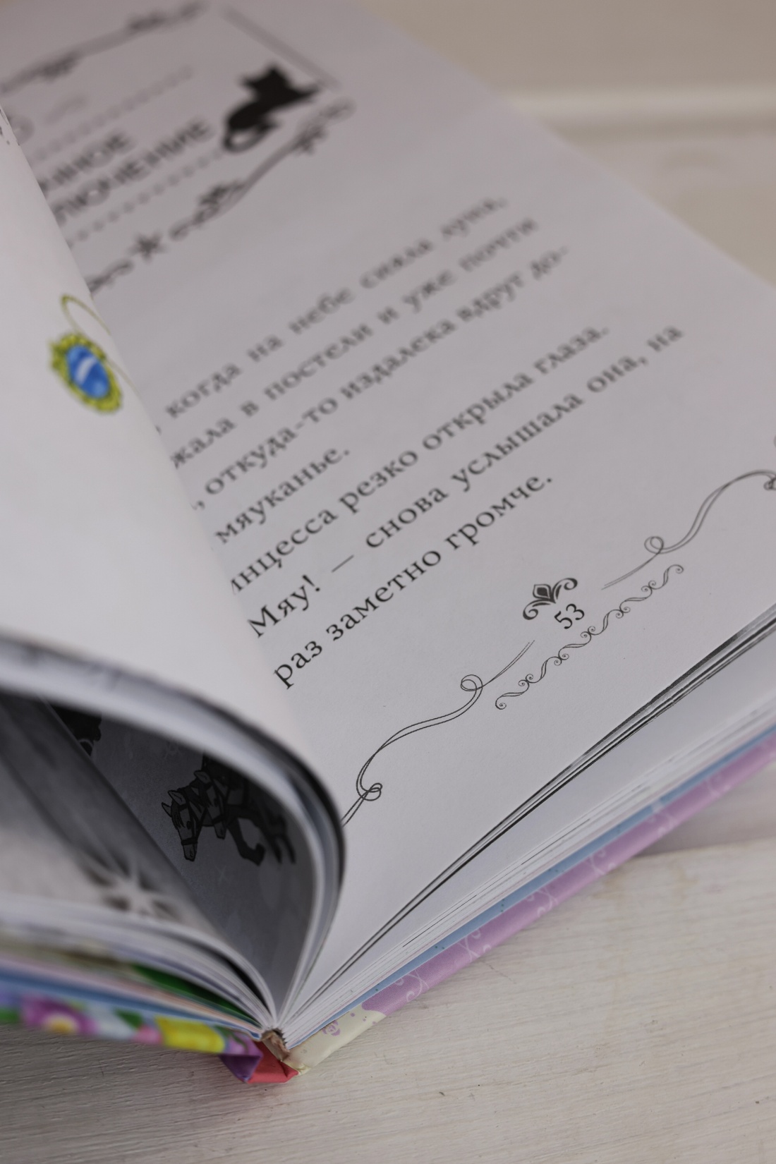 Промо материал к книге "Модные лапки" №13