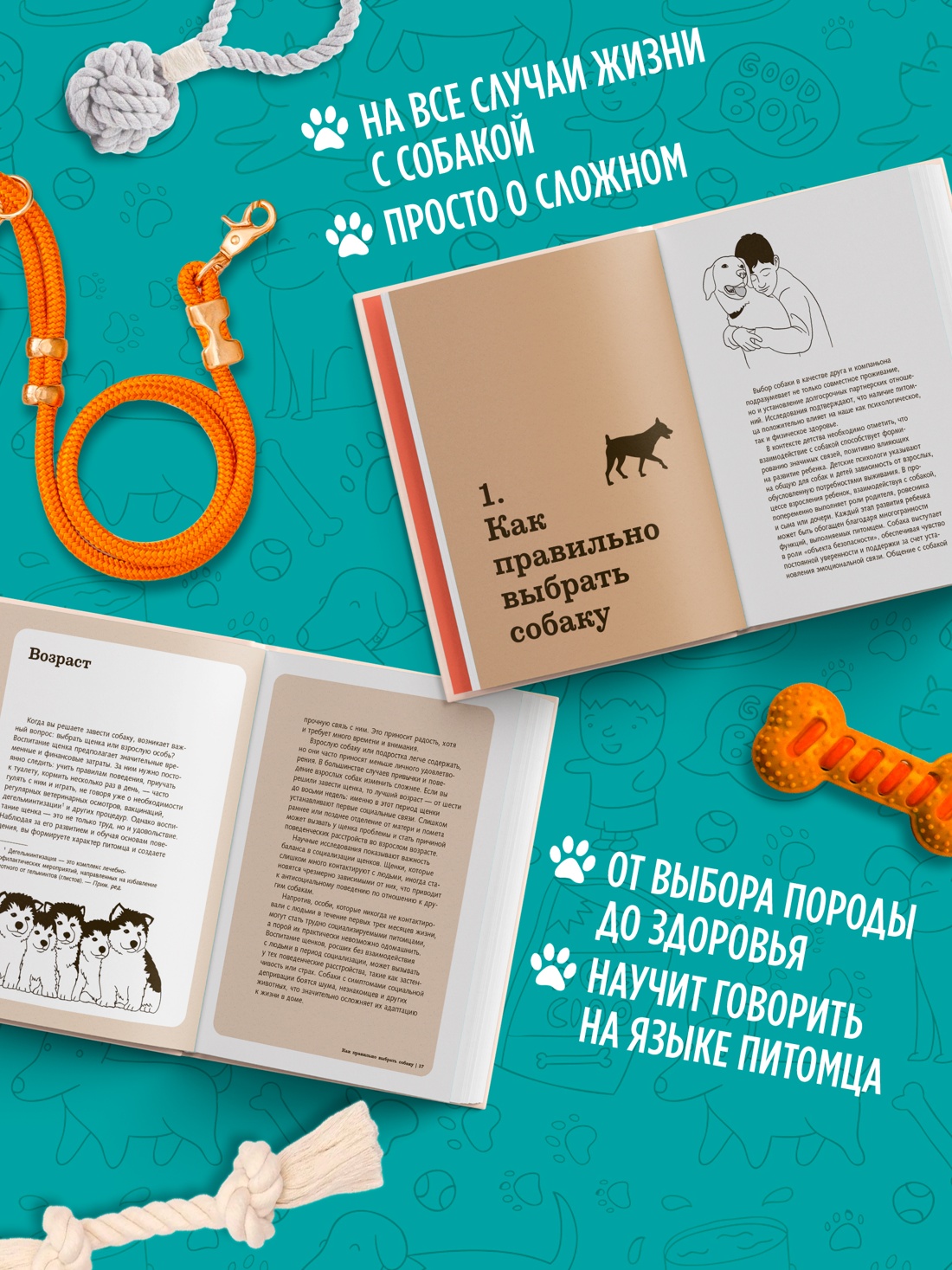 Промо материал к книге "Хвалить! Кормить! Любить! Обаятельное пособие по воспитанию счастливой собаки" №1