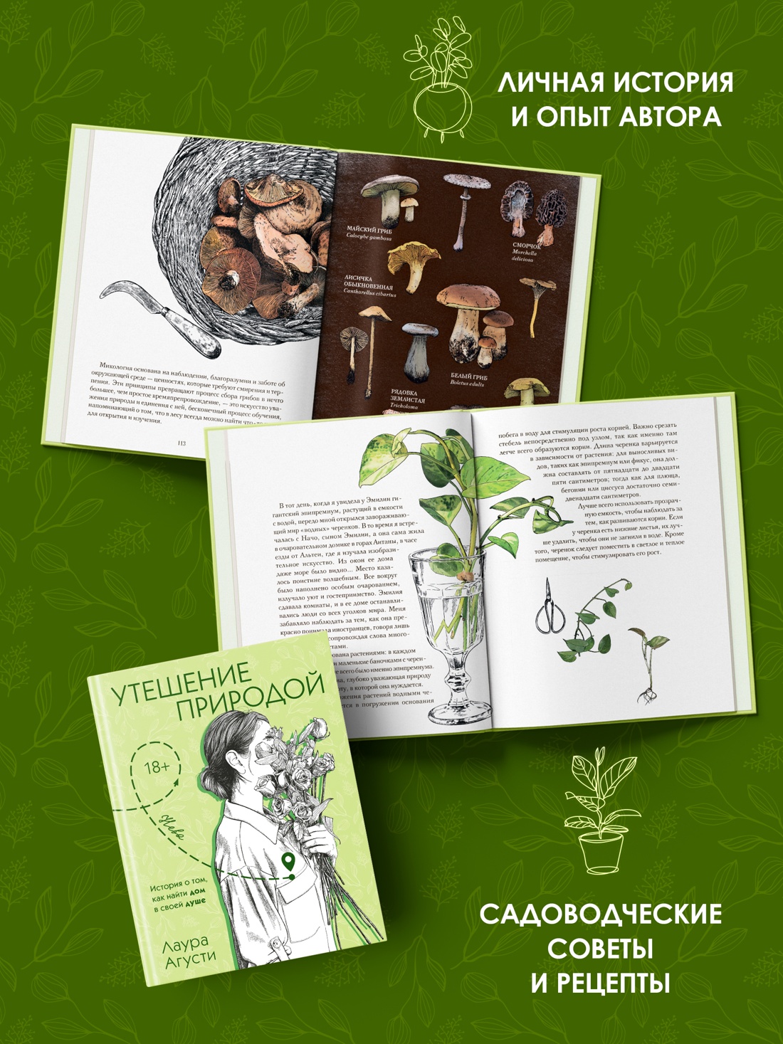 Промо материал к книге "Утешение природой" №2