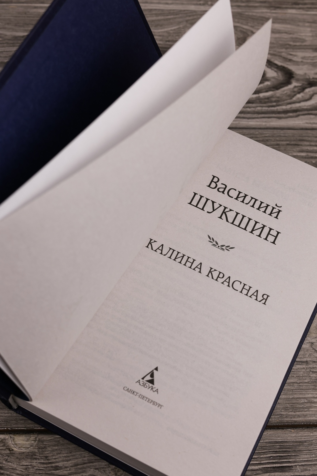 Промо материал к книге "Калина красная (Мировая классика)" №4