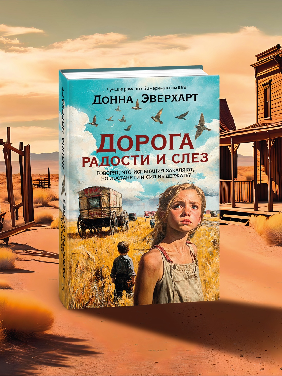 Промо материал к книге "Дорога радости и слез" №5