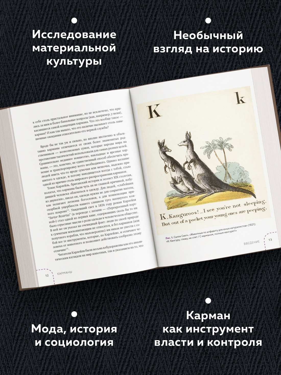 Промо материал к книге "Карманы. Интимная история, или Как держать все в секрете" №1