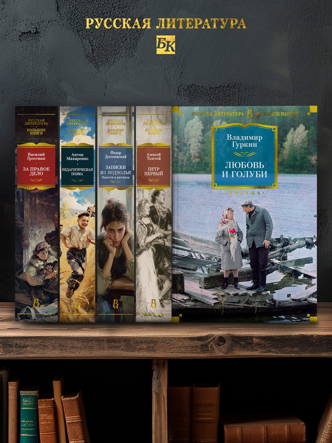 Промо материал к книге "Любовь и голуби" №2