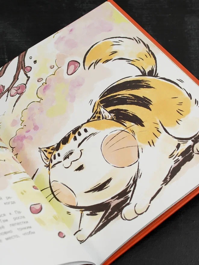 Промо материал к книге "Кот Апельсин в Запретном городе. Книга 1. Игрушка дракона" №9