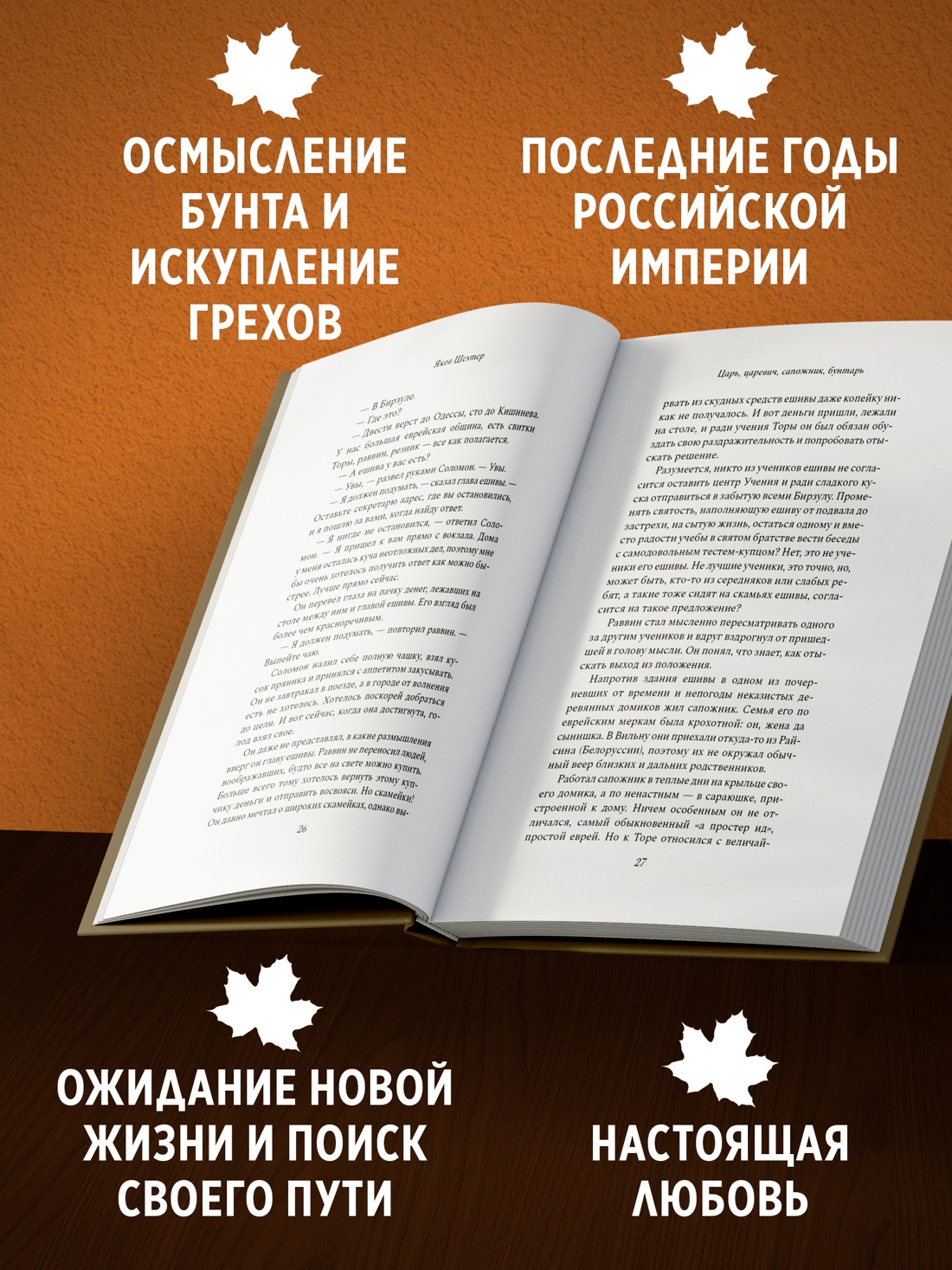 Промо материал к книге "Царь, царевич, сапожник, бунтарь" №1