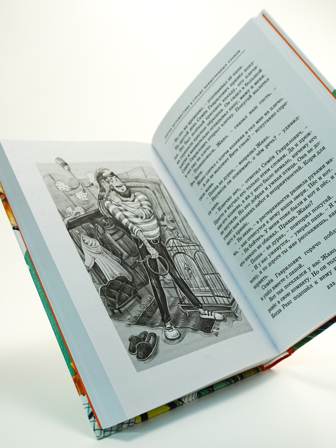 Промо материал к книге "Все путешествия в страну невыученных уроков" №3