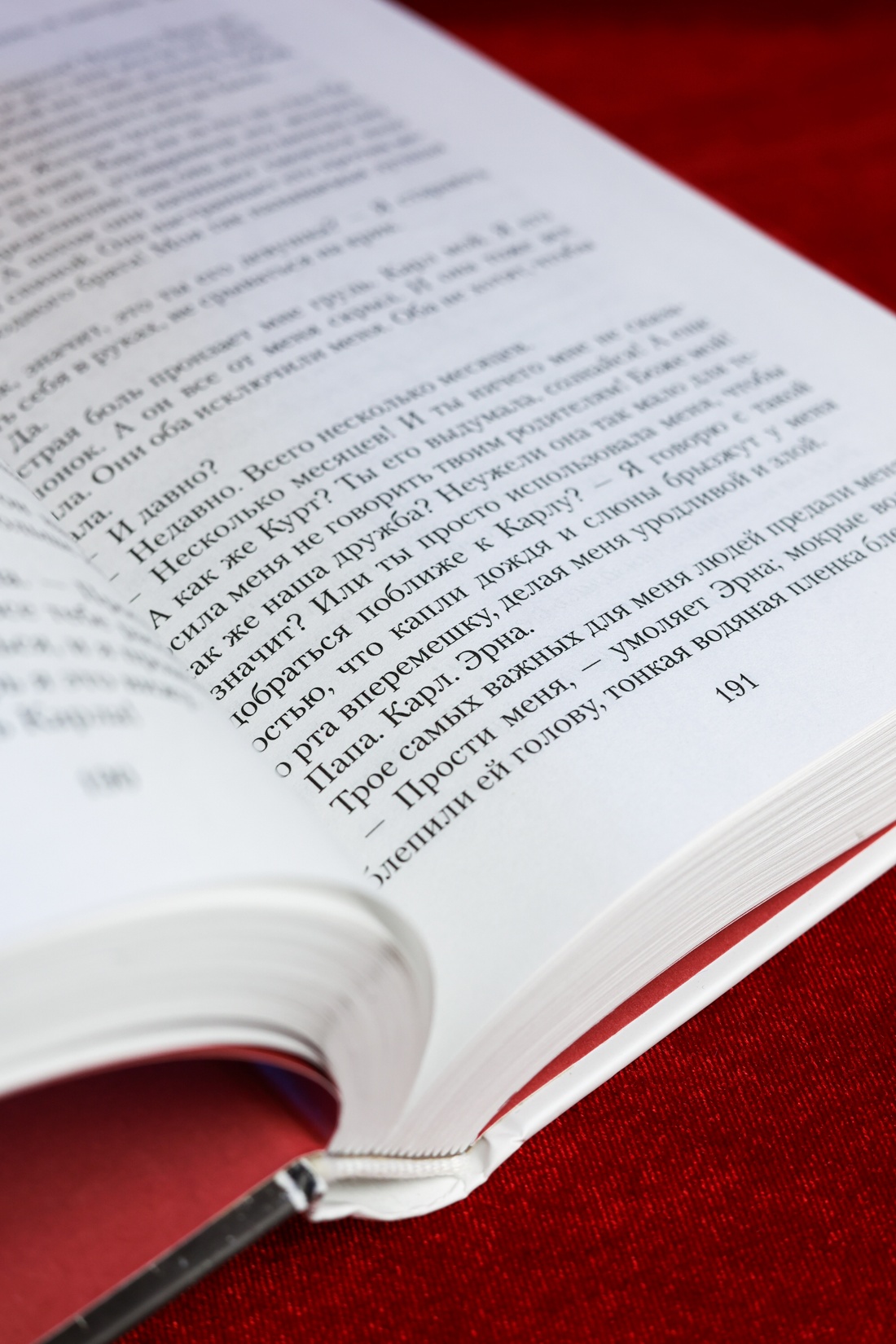 Промо материал к книге "Дочь Рейха (The Big Book)" №6
