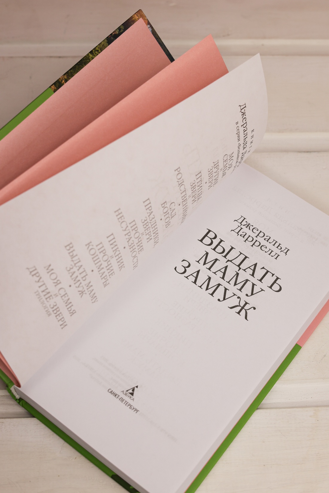 Промо материал к книге "Выдать маму замуж" №6