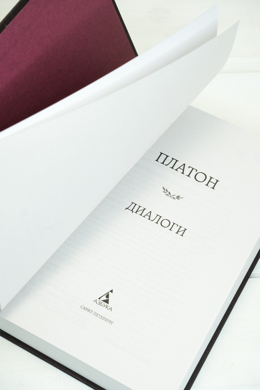Промо материал к книге "Диалоги" №6