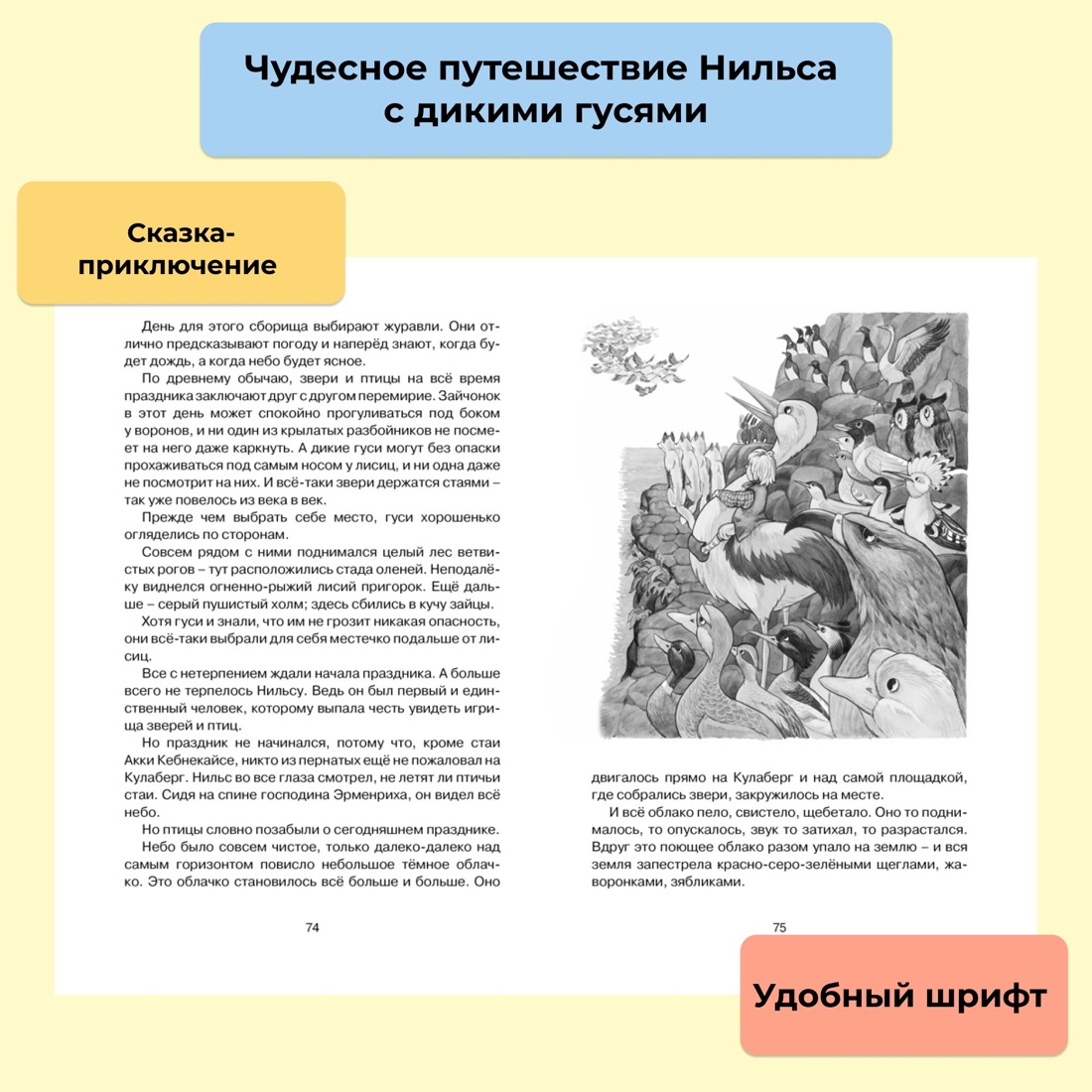 Промо материал к книге "Чудесное путешествие Нильса с дикими гусями" №0