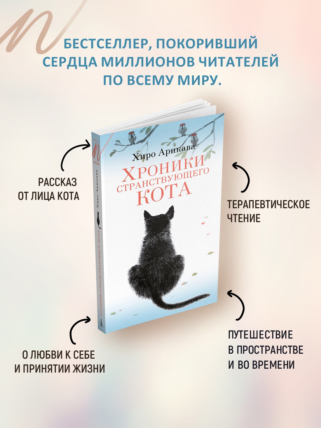 Промо материал к книге "Хроники странствующего кота" №1