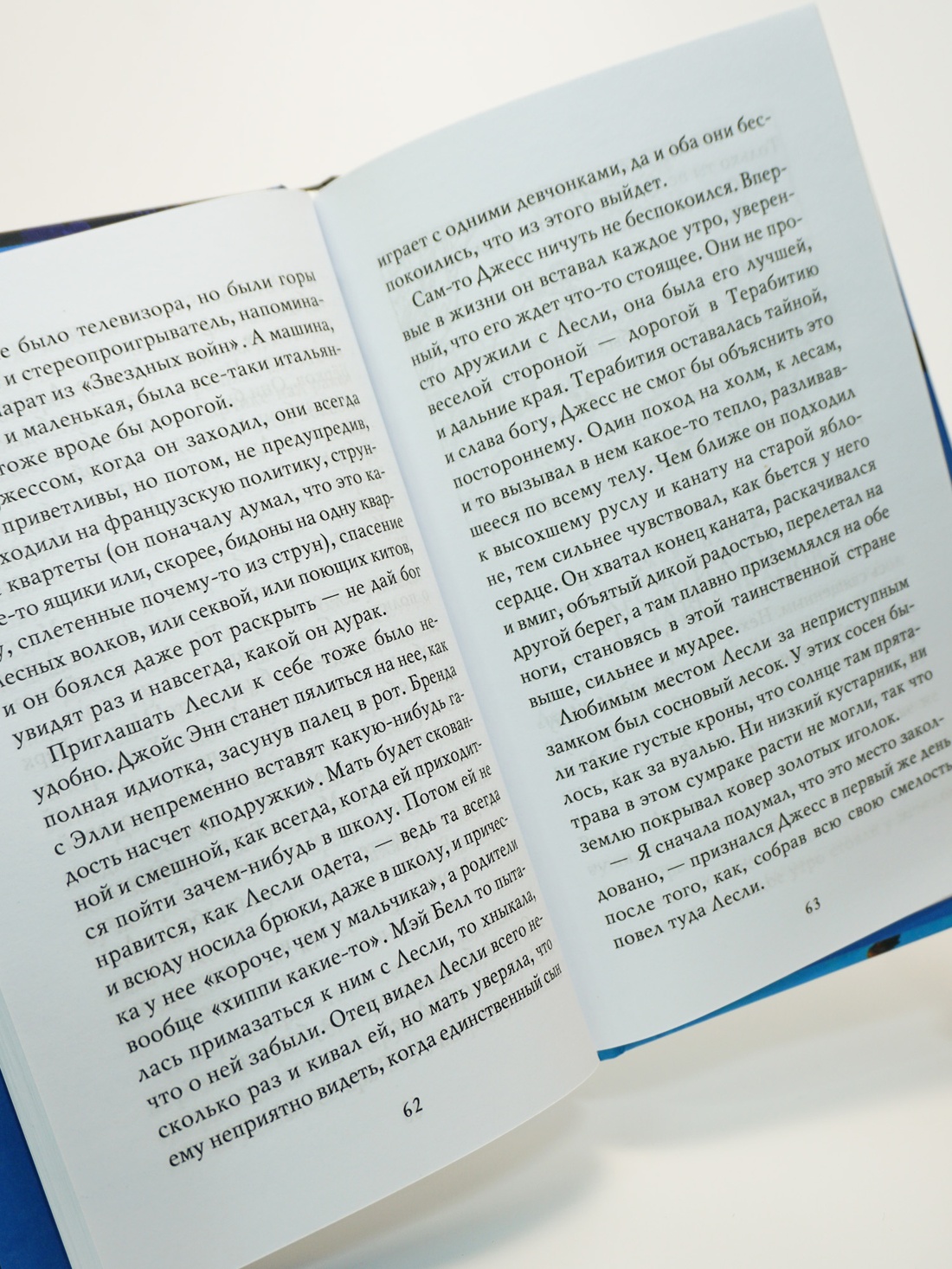 Промо материал к книге "Мост в Терабитию" №1