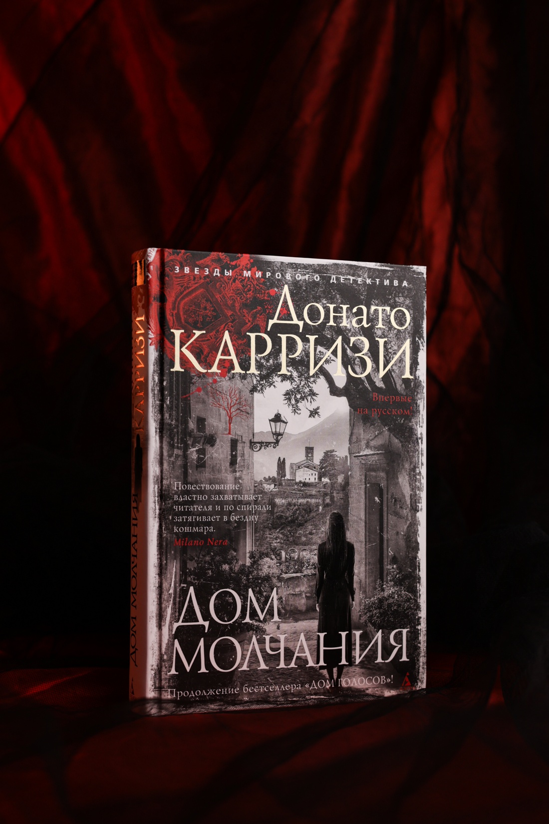 Промо материал к книге "Дом молчания" №7