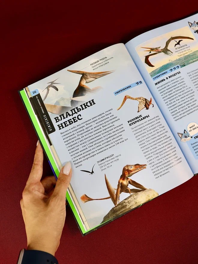 Промо материал к книге "Динозавры (Бирк Грюлинг и др.)" №7