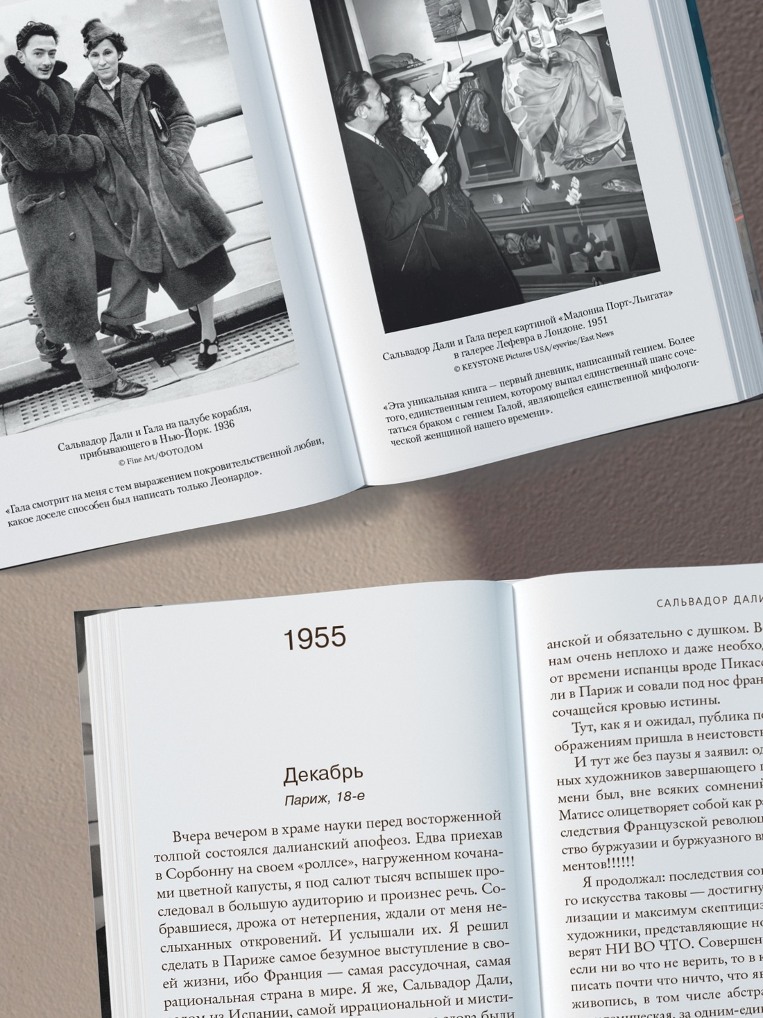 Промо материал к книге "Дневник одного гения" №1