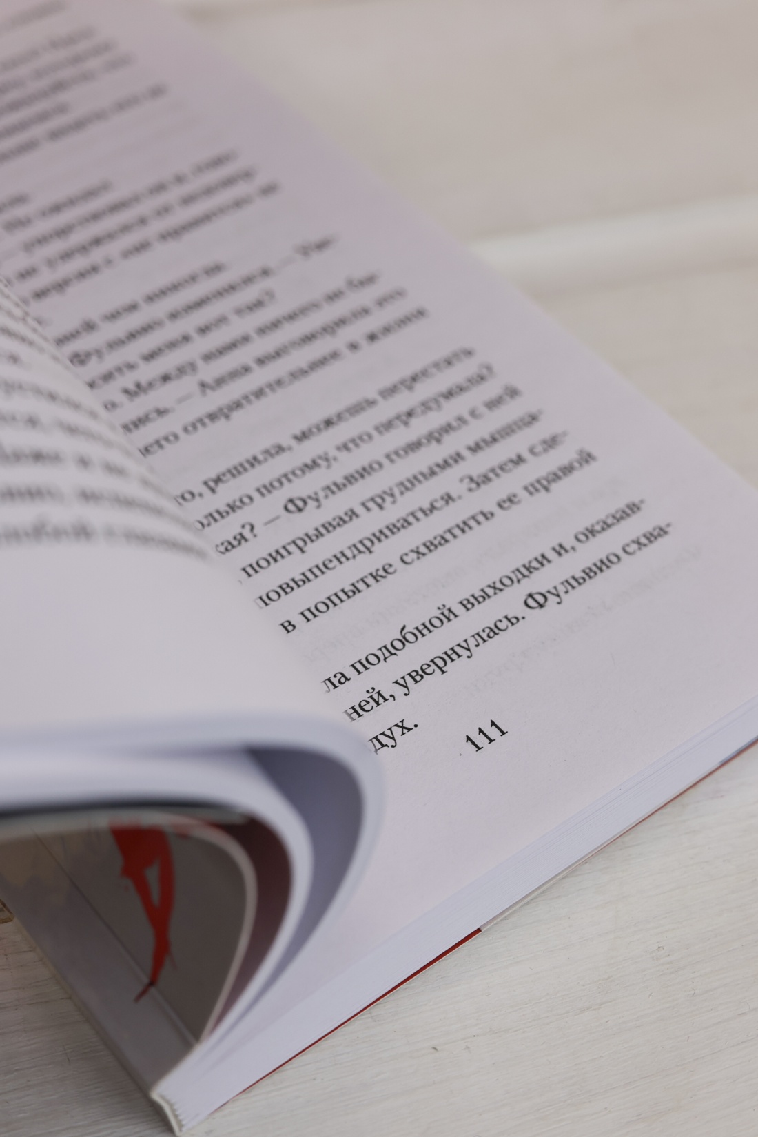 Промо материал к книге "Семь воронов" №12