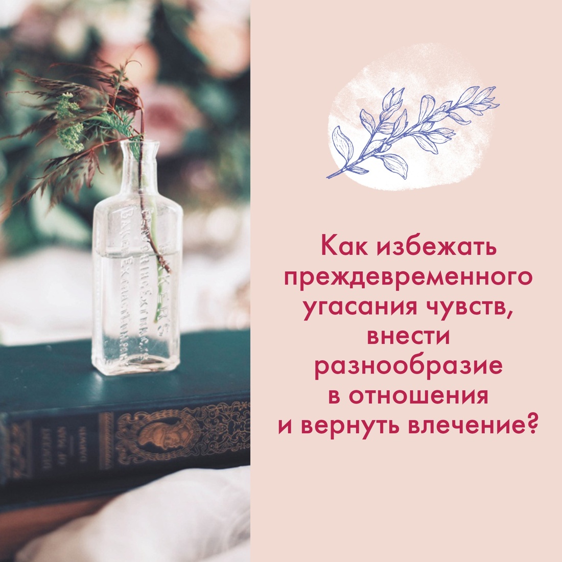 Промо материал к книге "Растения любви (+ эксклюзивный стикерпак) " №3