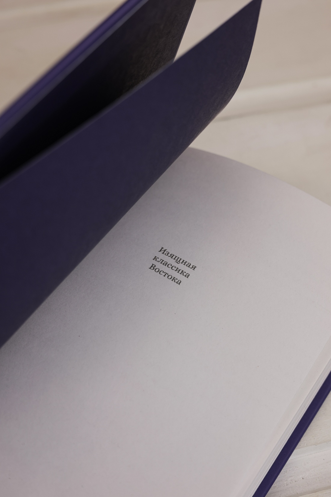 Промо материал к книге "Пять женщин, предавшихся любви. История любовных похождений одинокой женщины" №7