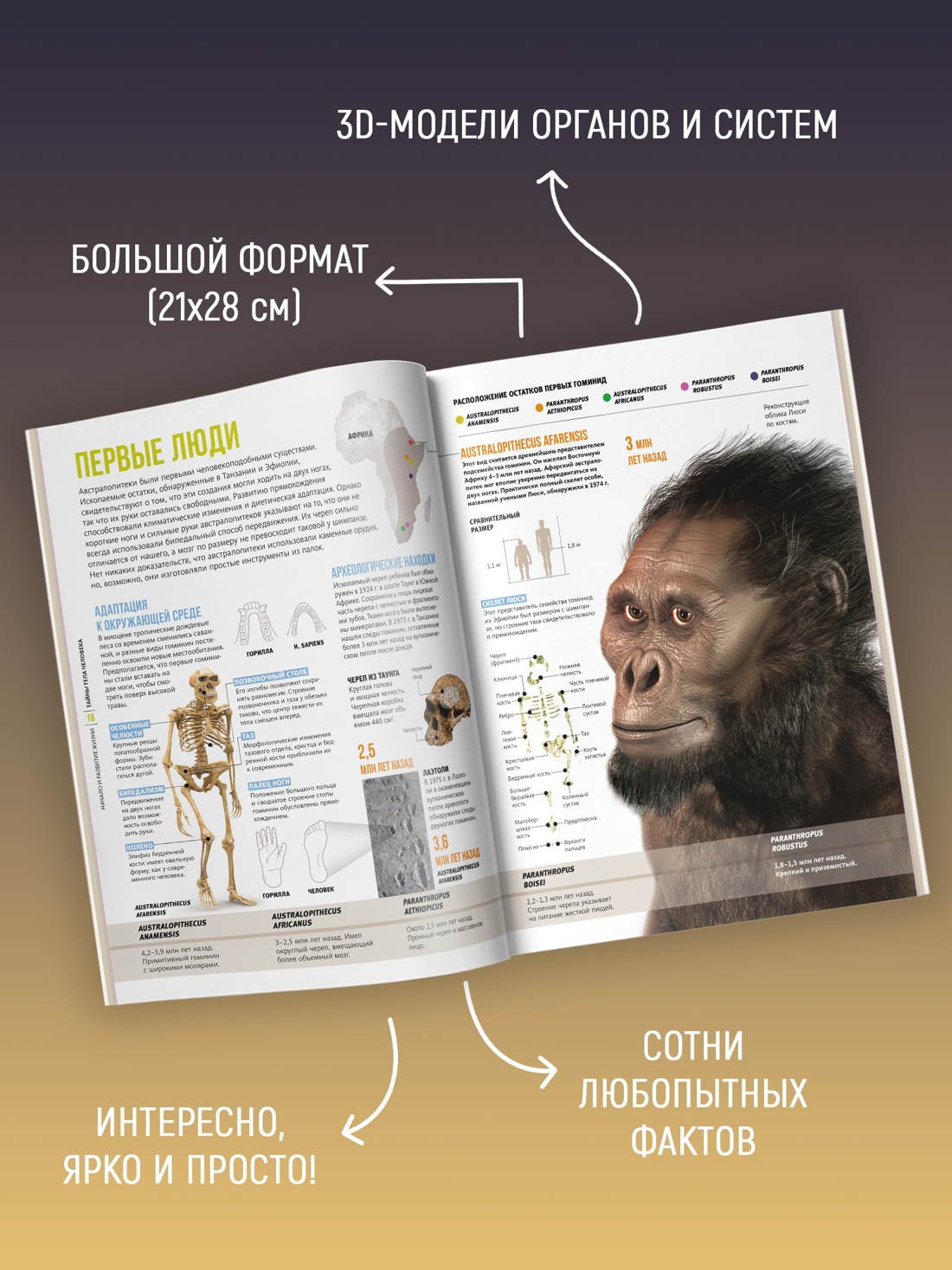 Промо материал к книге "Тайны тела человека. Большая иллюстрированная энциклопедия" №1