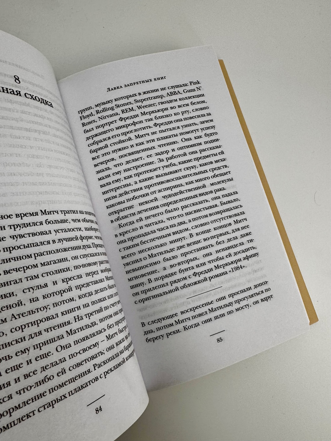 Промо материал к книге "Лавка запретных книг" №8