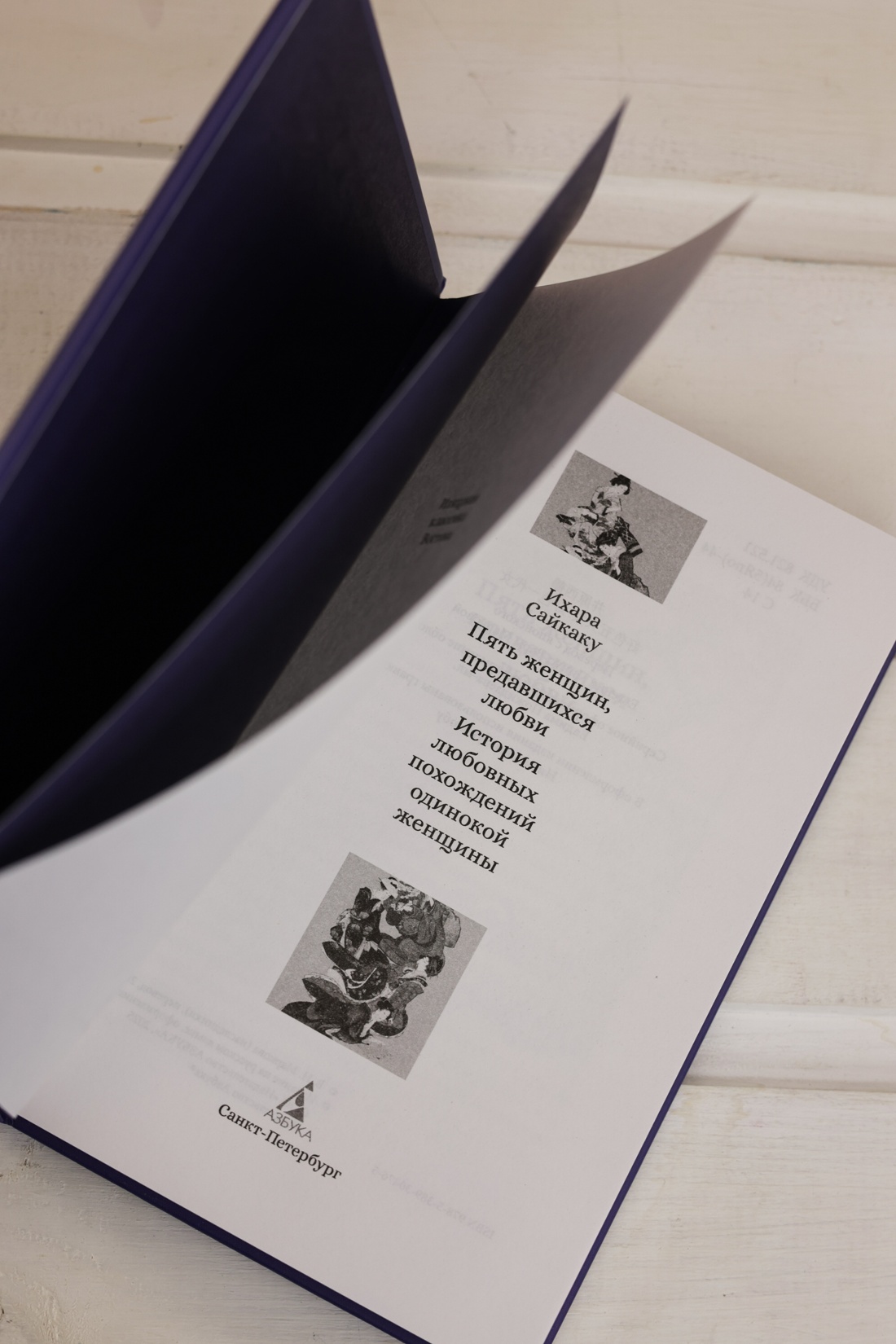 Промо материал к книге "Пять женщин, предавшихся любви. История любовных похождений одинокой женщины" №6