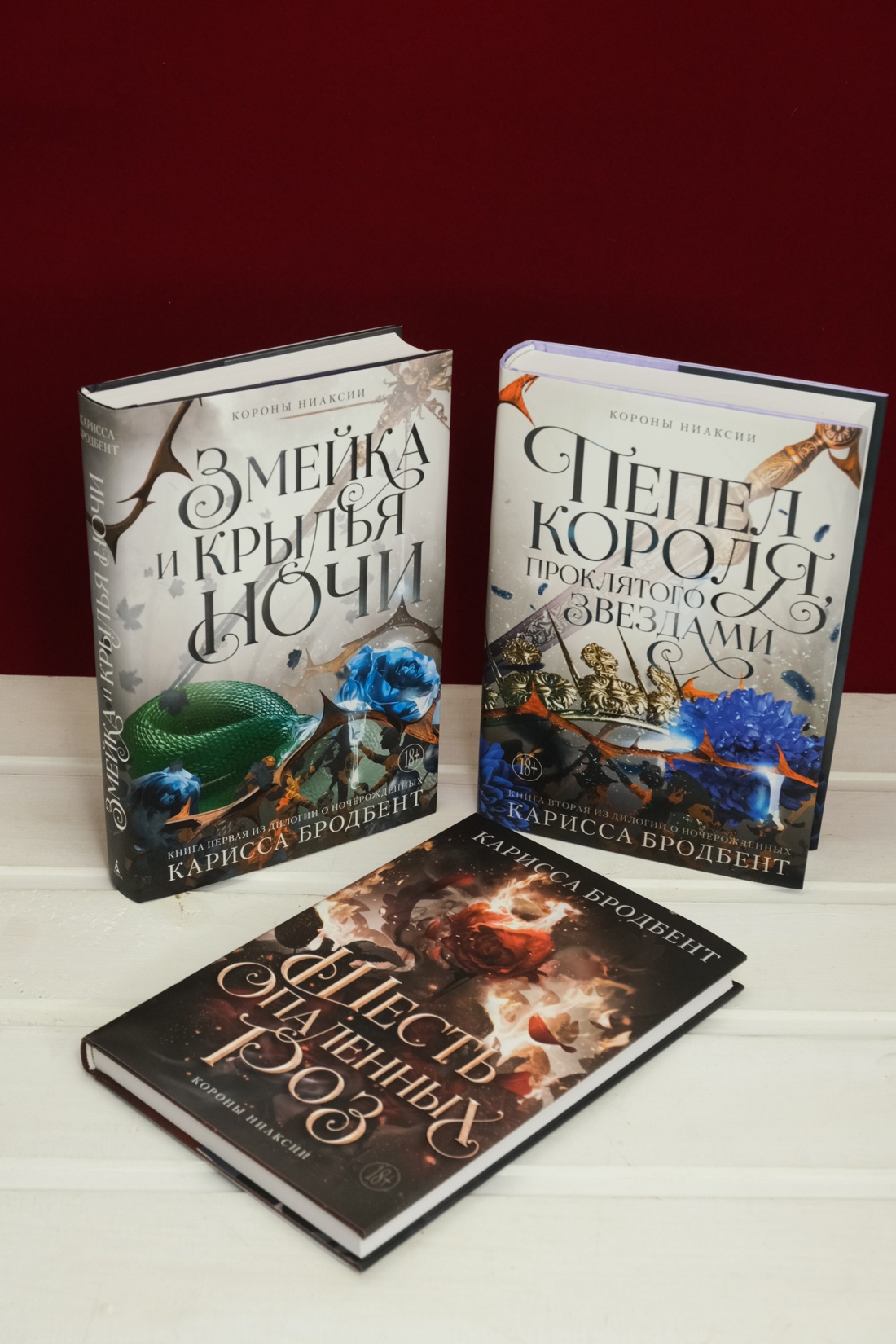 Промо материал к книге "Короны Ниаксии. Змейка и крылья ночи. Книга первая из дилогии о ночерожденных" №15