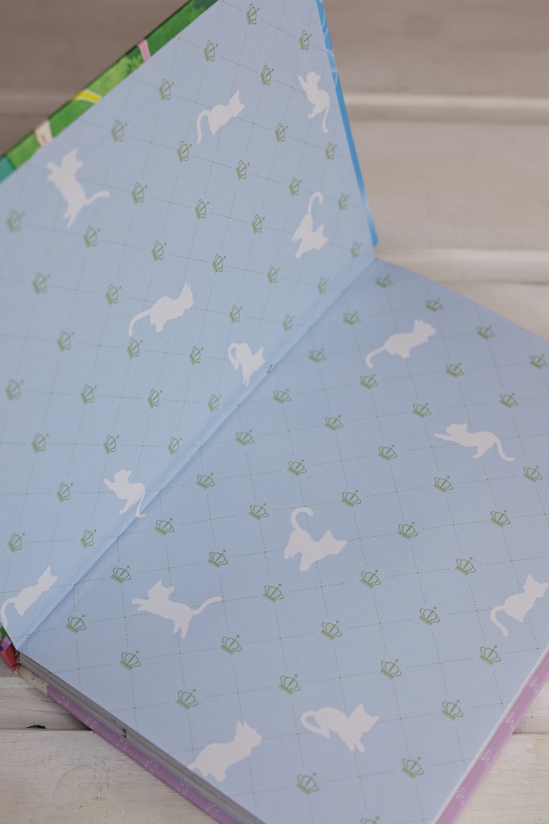 Промо материал к книге "Модные лапки" №8