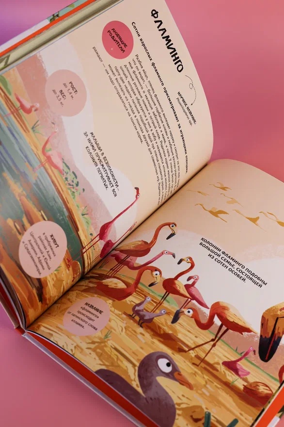 Промо материал к книге "Семья в мире животных. Любовь, забота и воспитание в дикой природе" №10