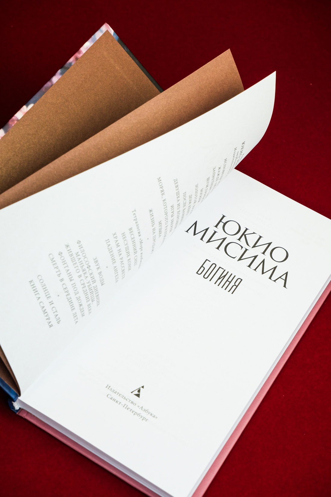 Промо материал к книге "Богиня" №9
