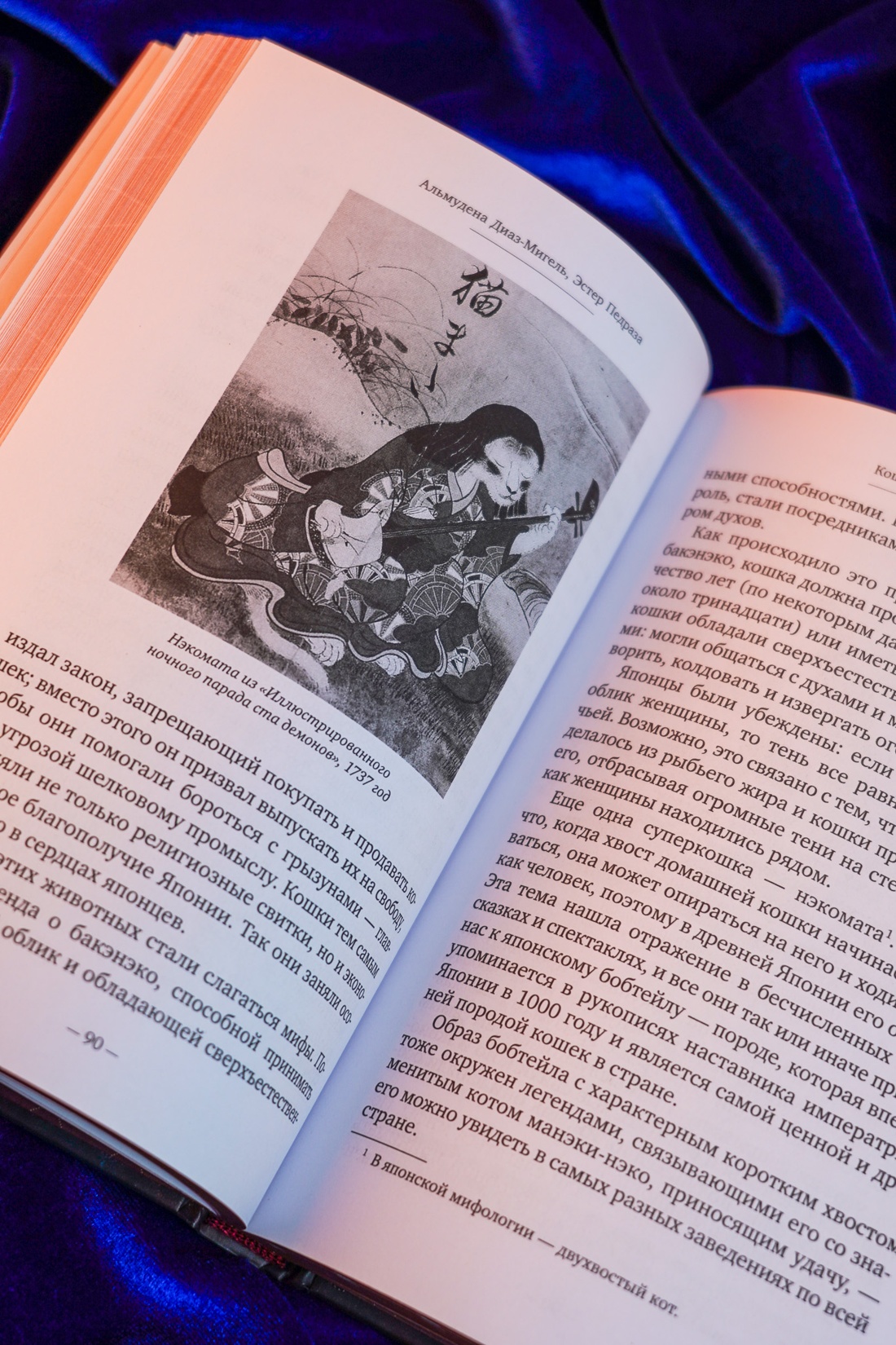 Промо материал к книге "Кошки правят миром" №10