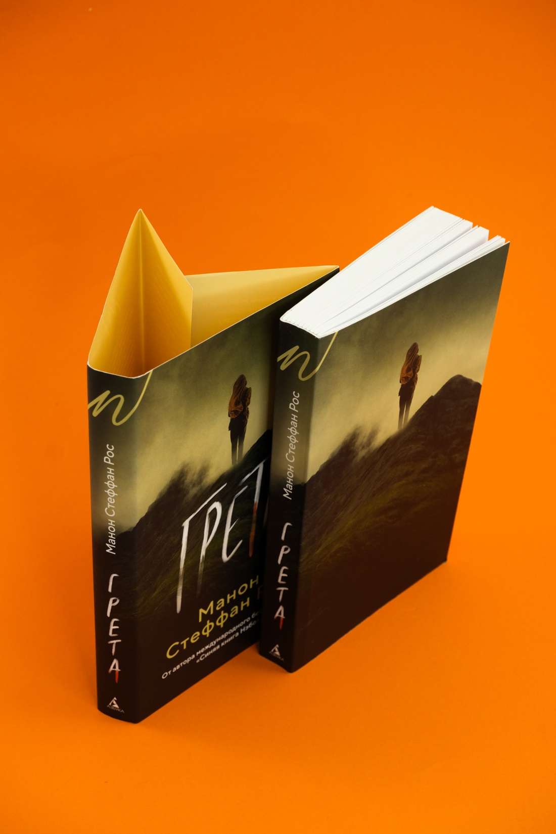Промо материал к книге "Грета" №9