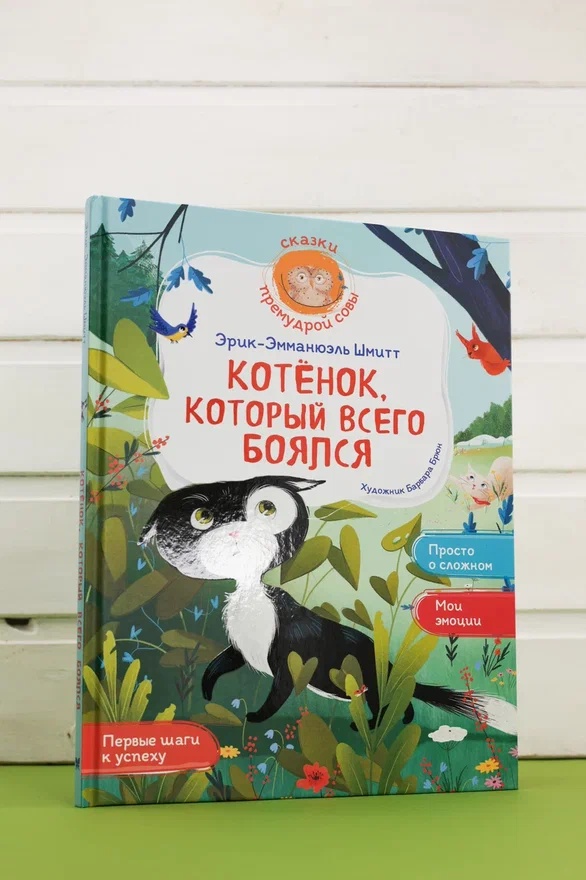 Промо материал к книге "Котёнок, который всего боялся" №0
