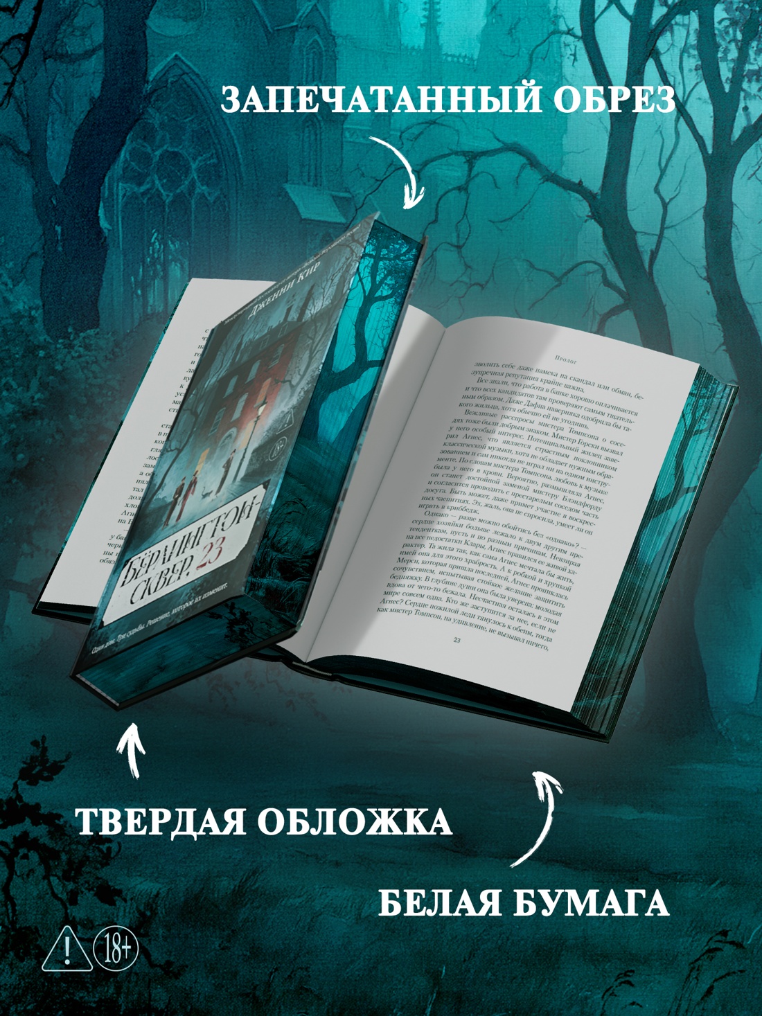 Промо материал к книге "Бёрлингтон-сквер, 23" №2