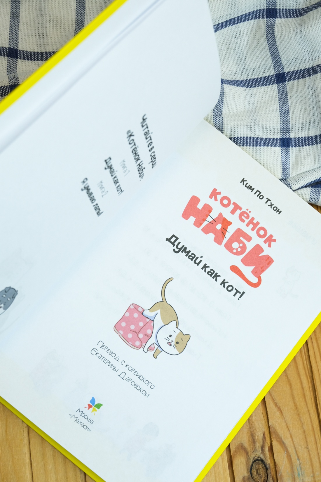 Промо материал к книге "Котёнок Наби. Думай как кот!" №6